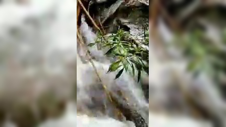  泉水源头