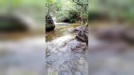  泉水源头
