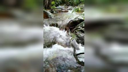  泉水源头
